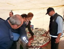 Kocaeli'nde Ekim Ayında 430 İş Yeri Denetlendi