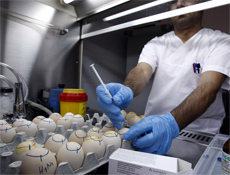 İlk aşılar  çarşamba günü  vurulacak!