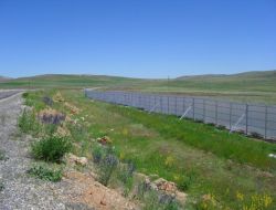 Kara Yollarında Tipiye Karşı Kar Perdesi