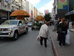 Narenciye Süslü Maketler Görücüye Çıktı