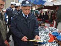 Eline Metreyi Alan Zabıta Balıkları Ölçtü