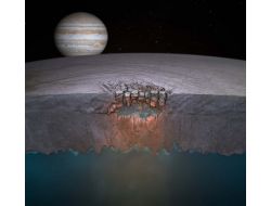 Jüpiter’in Uydusu Europa’da Yeni Yaşam İzleri Bulundu