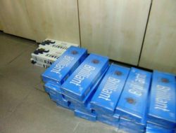 Dedektör köpekler kaçakçıları affetmiyor