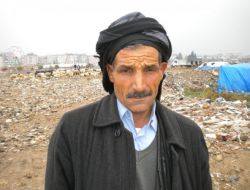 Hayvan Fiyatları Yükselişe Geçti