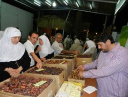 Türklerden Medine'de Hurma Bahçelerine Yoğun İlgi