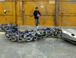 Nesli Tükenen Dev Yılanı Robotla Canlandırdılar