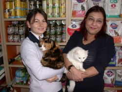 EN KAPRİSLİ HAYVAN KEDİYMİŞ