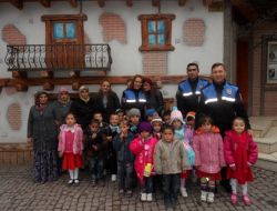 Kır Çiçekleri Sinemada..