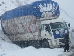 Erzurum Bingöl Karayolunda Araçlar Mahsur Kaldı