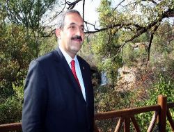 Paşabahçe Mesire Alanı Yeniden Düzenlendi