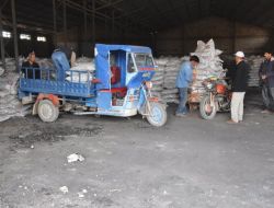 Akçakale Kaymakamlığı İhtiyaç Sahibi Bin Aileye Kömür Yardımı Yaptı.