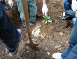Deniz İkmal Destek Komutanlığı'na Saldırının Faili Teröristler Yakalandı