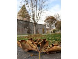 Kayseri'de Sonbahar Temizliği