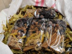 Grip Mevsimi Başladı Kış Çayına Rağbet Arttı