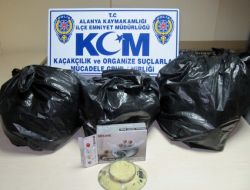 Alanya’da 11 Kilo Esrar Ele Geçirildi