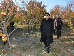 Bahçesinde Yetiştirdiği Meyveleri 15 Yıldır Ücret Almadan İkram Ediyor