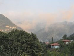 5 Köyden Cumhurbaşkanına Mektup