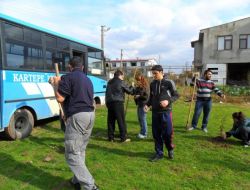 Üniversiteli Öğrenciler Fıstık Çamı Dikti