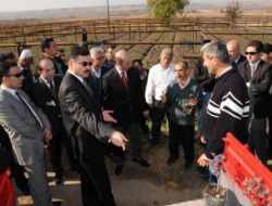 Batman’da Antep Fıstığı Ve Meyve Fidanı Dağıtımına Başlandı