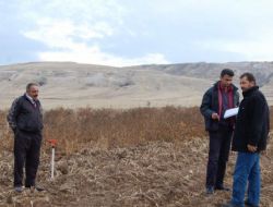 21 Bin 945 Dekar Patates Dondan Etkilendi