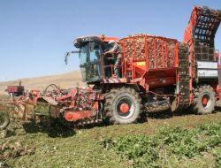 Boğazlıyan’da 4 Bin 500 Pancar Üreticisine 9 Milyon Tl Ödeme Yapılacak