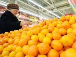 Rusya 26 Ton Mandalinayı Geri Gönderdi