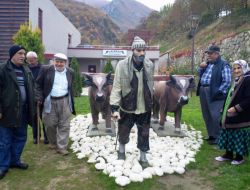 Yaşlılar Kaplıkaya'yı Gezdi