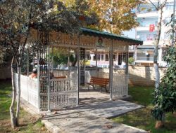 Belediyeden Sosyal Alanlara Kamelya