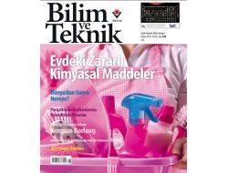 Temizlik Ürünleri Ve Kozmetikte Bulunan Kimyasallar Doğurganlığı Azaltıyor