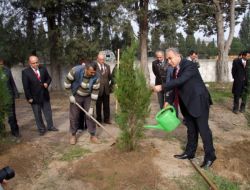Öğretmeler adına birer fidan dikildi