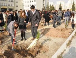 Van Depreminde Şehit Olan Öğretmenler İçin Fidan Diktiler