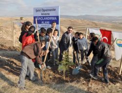 Şehit Öğretmenler Anısına 109 Dönümlük Hatıra Ormanı Oluşturuldu