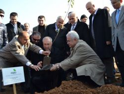 Saruhanlı'da 2 Bin 154 Bin Dekar Alana Fidan Dikilecek