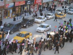 Hakkarili Kadınlar Şiddete Karşı Yürüdü