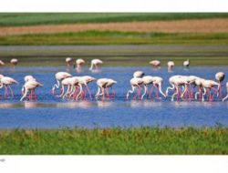 Depremzede Sanatçılar Yararına Fotoğraf Sergisi