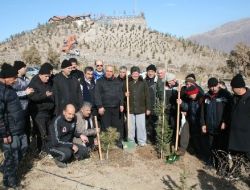 Boydak Ormanı'na 3 Yılda 240 Bin Fidan Dikildi