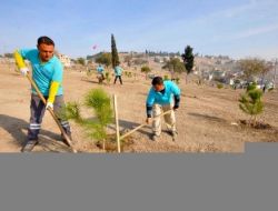 Gecekondudan Kurtarılan Kadifekale Ihlamur Kokacak