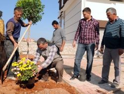 Bahçesine Ağaç Ve Çiçek Dikilmeyen Binaya Ruhsat Yok