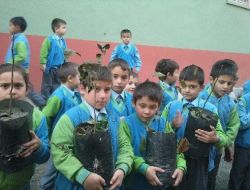 Büyütülen Fidanlar Kardeş Okul Bahçesine Dikilecek