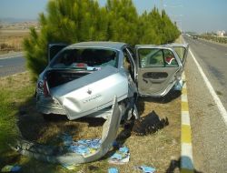Çam Ağacını Kökünden Söküp Sürükleyen Araçtaki 2 Kişi Yaralandı