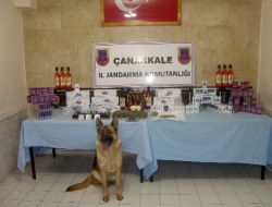 Çanakkale’de Kaçakçılık Operasyonu