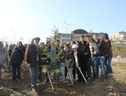 Üniversite Öğrencileri Çam Fidanı Dikti