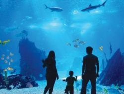 Antalya Aquarium’un Temeli Atıldı