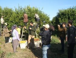 DAVETSİZ MİSAFİR KOZAN’DA..