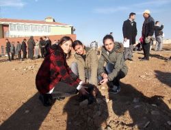 Kardeş Okul Bahçesine 500 Fidan Diktiler