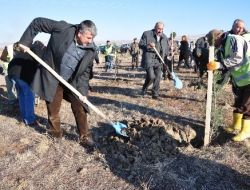 Akyurt'ta 30 Bin Fidan Toprakla Buluştu