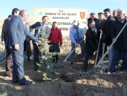 Polatlı’da 250 Bin Fidan Toprakla Buluştu
