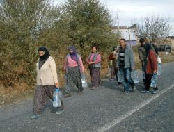 Tunceli Kepektaşı Köyünde Arsenikli Su Paniği