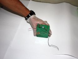 PKK'ya ait çok sayıda mühimmat ele geçirildi!