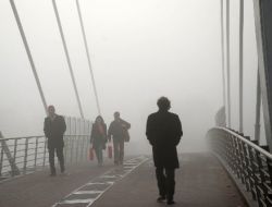 Kocaeli'nde Yoğun Sis Trafiği Yavaşlattı